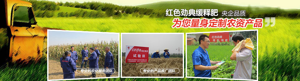 探花在线免费观看，冠军品质，五星服务